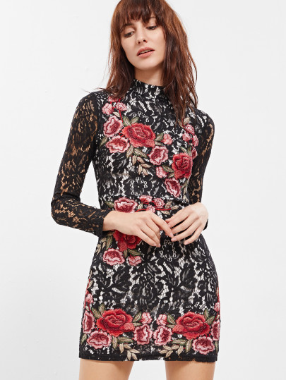 Embroidered Rose Applique Floral Lace Bodycon Dress