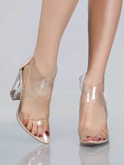Pointy Toe Transparent Block Heels NUDE