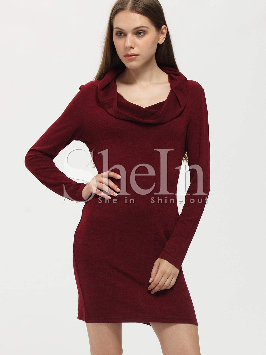 Burgundy Hooded Draped Front Dress